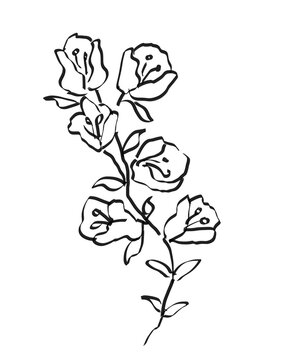 hand-drawn flower ink sketch