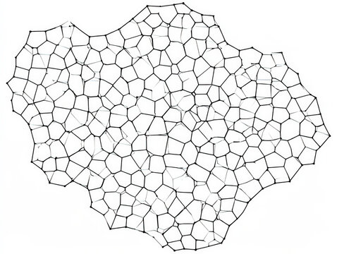 Voronoi diagram abstract polygon pattern on white background