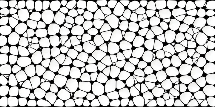 Abstract black and white Voronoi pattern with irregular cellular texture and contrast