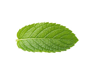 Fresh Green Mint Leaf Isolated on Transparent Background © pnghubs