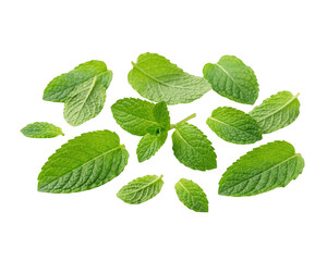 Fresh Mint Leaves Isolated on Transparent Background © pnghubs