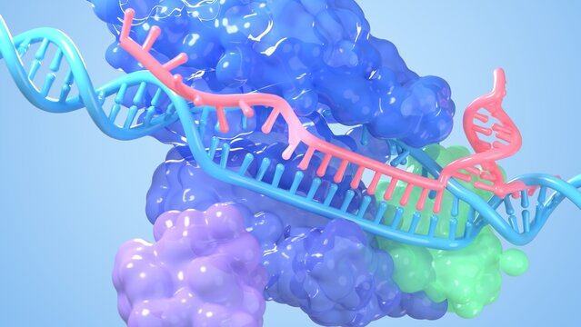 CRISPR Cas9 3D representation of gene editing for medicine and biotechnology