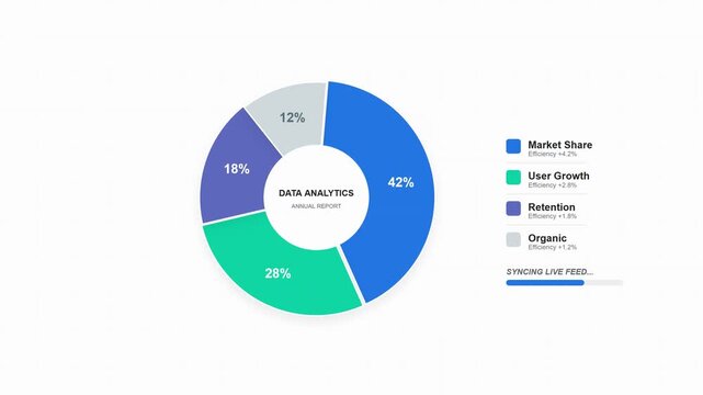 Business Data Analytics Pie Chart Infographic Showing Market Share Metrics