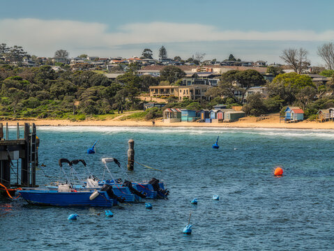Windy Day View Mornington Harbour