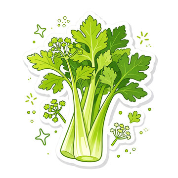 Celery vector illustration
