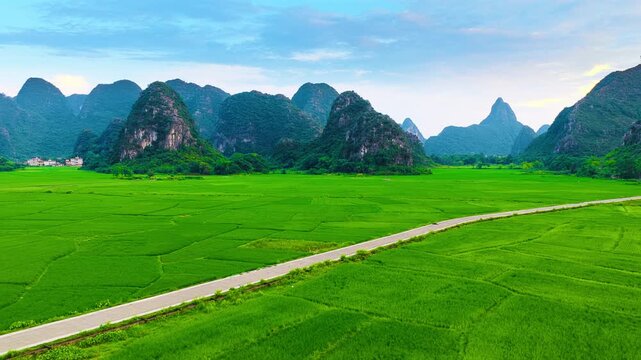 Lush green paddy fields stretch out towards majestic karst mountains under a soft blue sky in Guilin, presenting a serene rural scene.