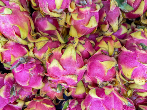 Pile of Fresh Whole Dragon Fruit Pitaya at Mexican Market &ndash; Exotic Tropical Fruit Food Background