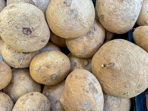 Pile of Fresh Whole Jicama Root Vegetables in Crate at Mexican Market &ndash; Tropical Food Background