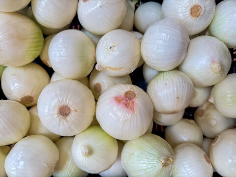 Pile of Fresh Whole White Onions at Mexican Market &ndash; Vegetable Food Background Closeup