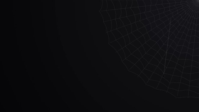 A subtle spider web hanging in the corner of the screen, with a single small spider swinging back and forth on a silk thread.