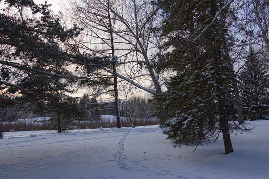 Winter scenery at Gold Bar Park