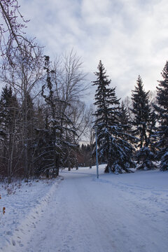Winter scenery at Gold Bar Park
