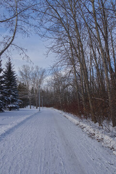 Winter scenery at Gold Bar Park