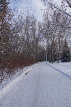 Winter scenery at Gold Bar Park