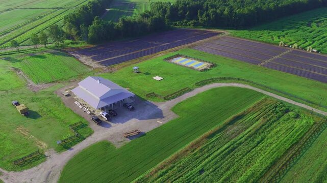 Aerial view shows farm with barn, green fields, and winding paths. Dark soil plots contrast with lush vegetation. Farm equipment rests near building. Fields stretch toward tree-lined borders