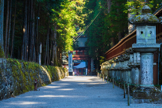 日本の風景・秋　栃木　世界遺産　日光東照宮　上新道