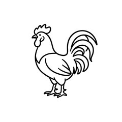 Rooster rooster line art vector illustration on transparent background features distinct comb and tail feathers ideal for farm life projects and kid coloring sheet. © workdesgin