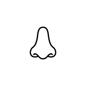 Human nose line art drawing with black contour for medical anatomy educational materials and cosmetic surgery clinic branding graphic design project assets.