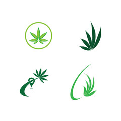 Obraz premium Cannabis leaf logo vector illustration design