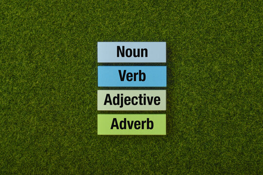 English grammar concept featuring noun, verb, adjective, and adverb labels arranged on green grass, representing language education, vocabulary, and grammatical learning.