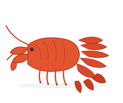 Stylized flat illustration of red lobster or crayfish seafood