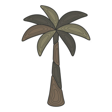 Detailed hand-drawn style palm tree illustration with textured wood grain effect tropical botanical illustration textured vacation paradise