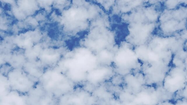 Altocumulus is a middle-altitude cloud genus that belongs mainly to the stratocumuliform physical category, characterized by globular masses or rolls in layers or patches . Honolulu, Oahu island, Hawa
