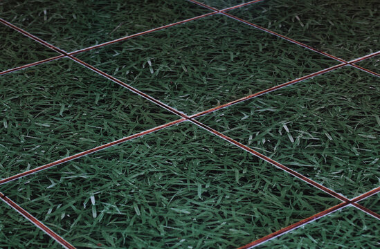 Floor tiles featuring a graphic print of vibrant green grass.