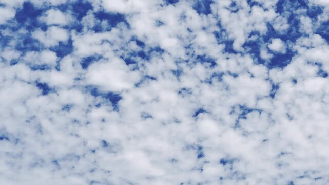 Altocumulus is a middle-altitude cloud genus that belongs mainly to the stratocumuliform physical category, characterized by globular masses or rolls in layers or patches . Honolulu, Oahu island, Hawa