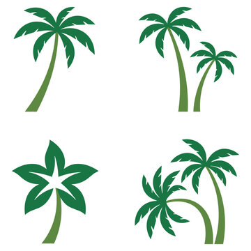 Collection of green palm tree illustrations in various styles with tropical vacation botanical environment landscape paradise vegetation
