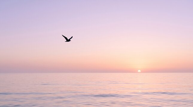 sunset in the sea