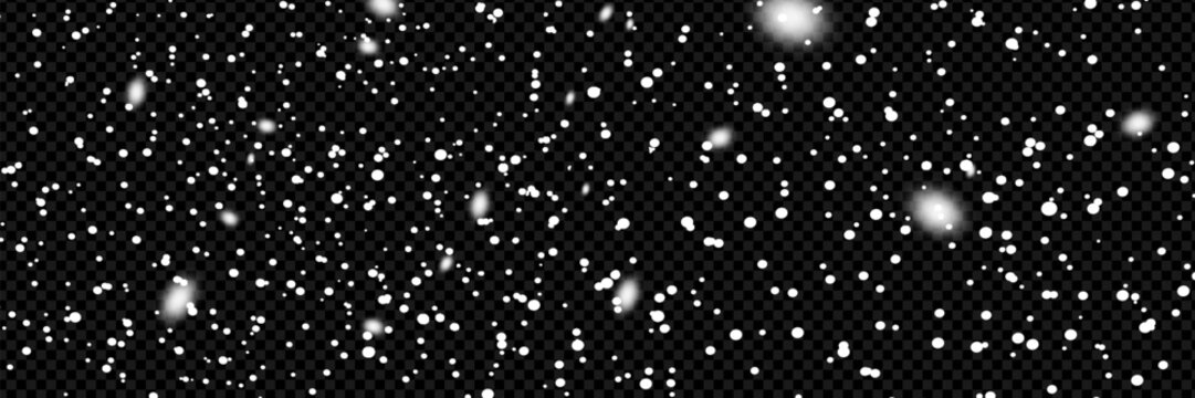 Snowfall, snowflakes in different shapes and forms. Snowflakes, snow background. Christmas snow for the new year.