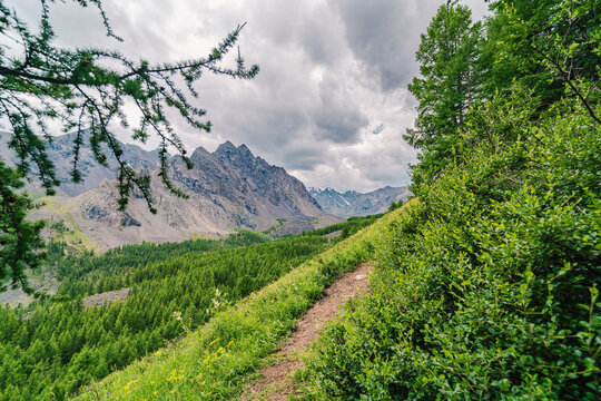 trail in Altay mountains