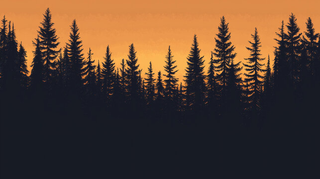 Sunset Pine Forest
