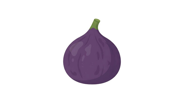 Vibrant Purple Fig Fruit Vector Illustration on White Background for Healthy Eating and Recipe Design