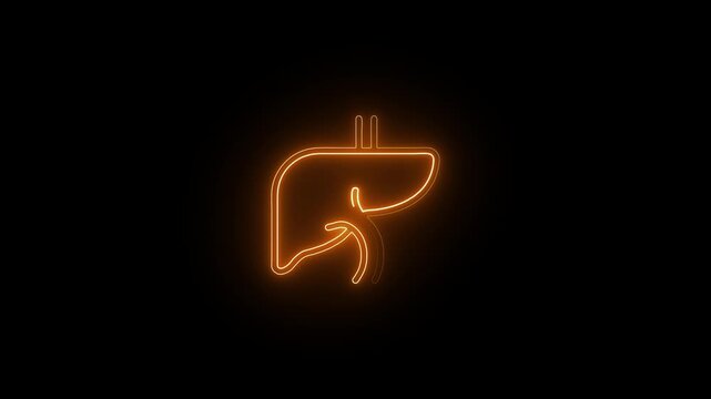 Neon line human organ liver icon.The liver functions to detoxify the blood. A human digestion stomach royalty.Internal organ. Gallbladder, hepatic duct. Anatomy. Medical science anatomy.