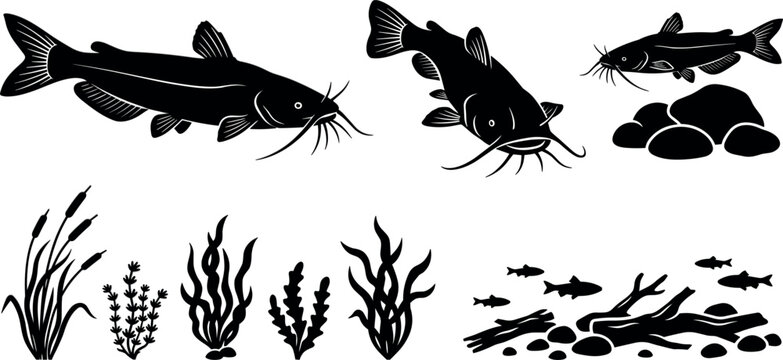  Catfish Vector Silhouette Icon Set Featuring River Undercurrent Elements, Cattail Plants, Underwater Seaweed, and Freshwater Wildlife Nature Graphic Designs