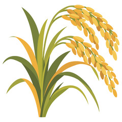 Fototapeta premium Reed, barley, rice ear