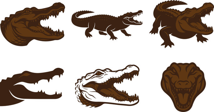  Crocodile Silhouette Vector Icon Set with Alligator Head Logos, Animals with Open Jaws, Snapping Teeth, and Aggressive Mascot Designs for Sports Branding