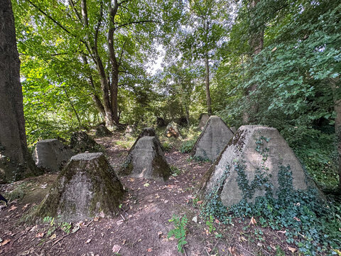 Aachen, North Rhine-Westphalia , Germany, August 23rd, 2025, Nature reclaims abandoned tank obstacles amidst lush greenery