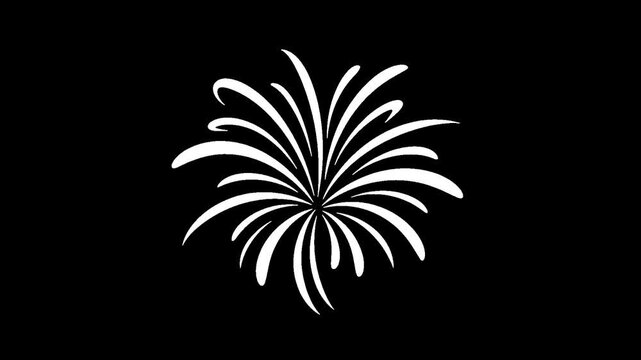 Stylized white firework burst animation with alpha channel