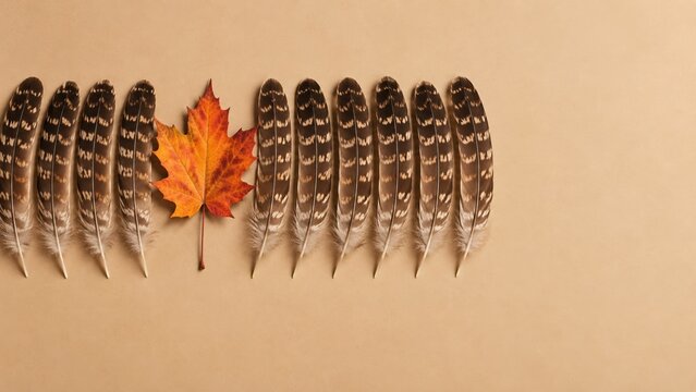 Brown speckled turkey feathers with a single bright orange maple leaf, a textured harvest pattern for autumn holiday campaigns with copy space
