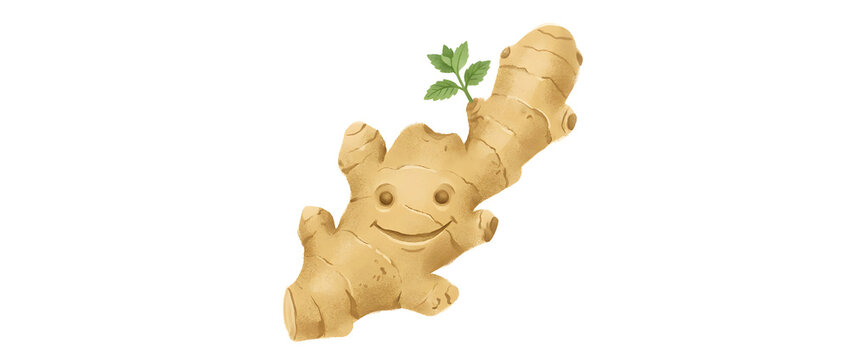 Ginger root character, fresh and healthy vegetable with a smiling face for organic food marketing and culinary design. Spice, raw plant and mascot for cooking, nutrition, wellness and education
