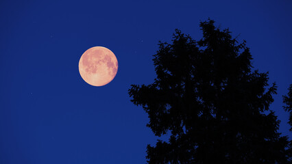 Full Moon, stars and planets above landscape silhouettes. © astrosystem