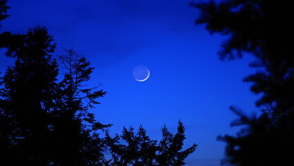 Blue hour time with crescent Moon, stars and planets above landscape silhouettes. © astrosystem