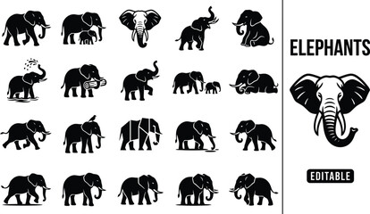 Obraz premium Comprehensive set of black and white elephant featuring diverse poses and silhouettes of elephants and calves in style