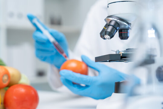 Scientist check chemical food residues in laboratory. Control experts inspect quality of fruit, scientists inject chemicals into apples for experiments, hazards, prohibited substance, contaminate