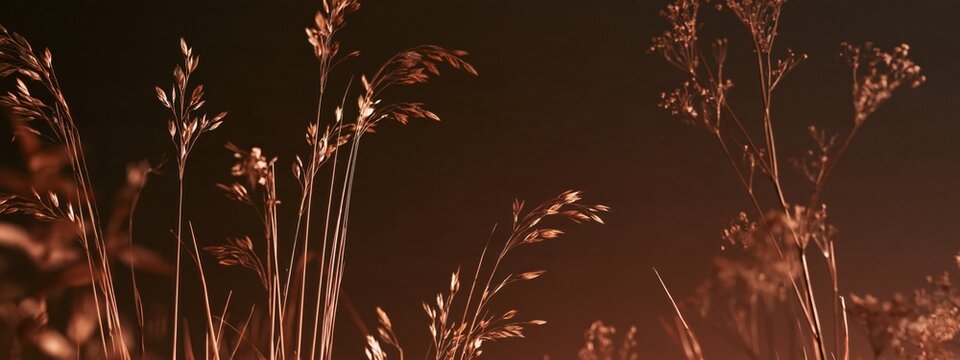 Golden grasses sway gently against a warm, dusky sky