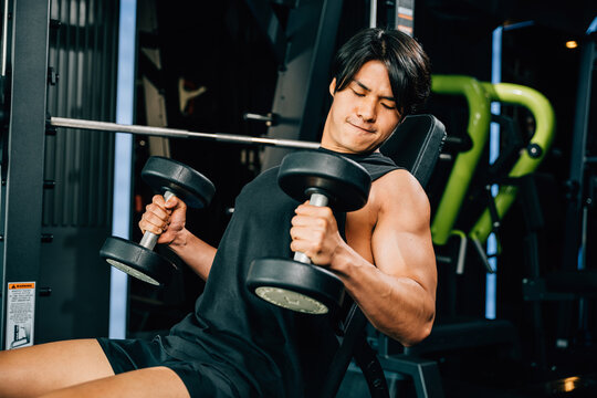 Asian man Muscular guy lifting dumbbell while sitting on bench gym, men using dumbbell during workout pumping up bicep muscle at fitness gym, workout healthy lifestyle