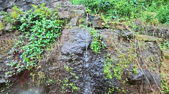 Cinematic footage of a small water stream trickling down a wet rocky wall surrounded by lush green vegetation

